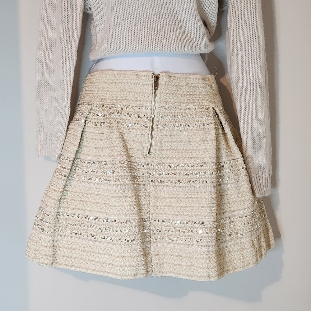 Sequin Pleated Skirt